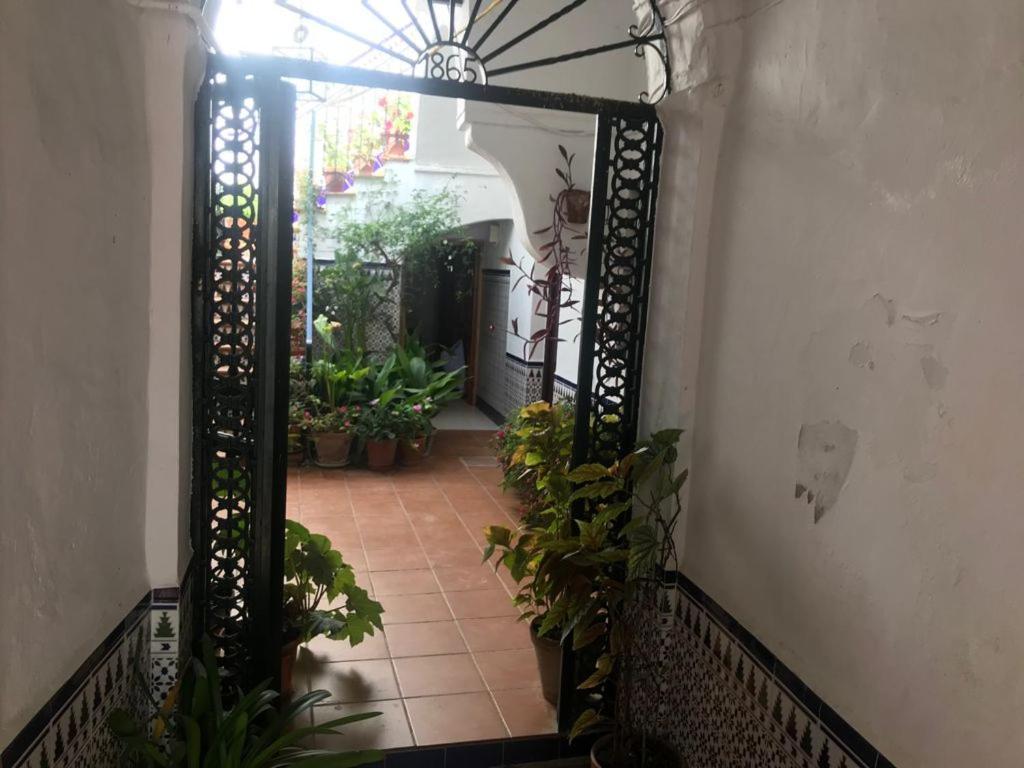 Antonio Ureba 9 Apartment Conil De La Frontera Exterior photo